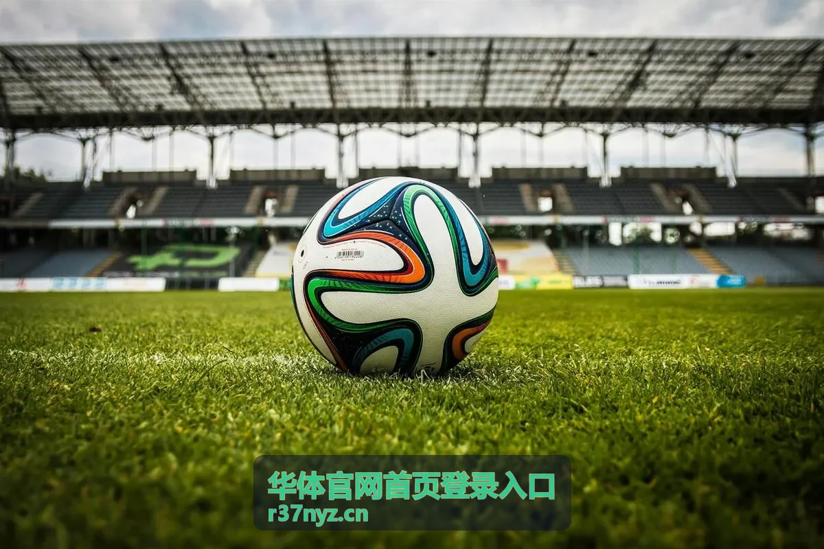 华体官网首页登录入口发票申请信息填写封面