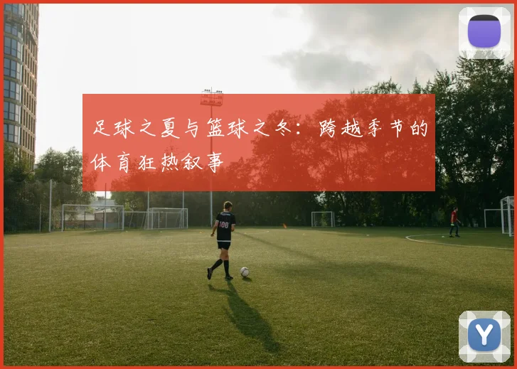 足球之夏与篮球之冬：跨越季节的体育狂热叙事