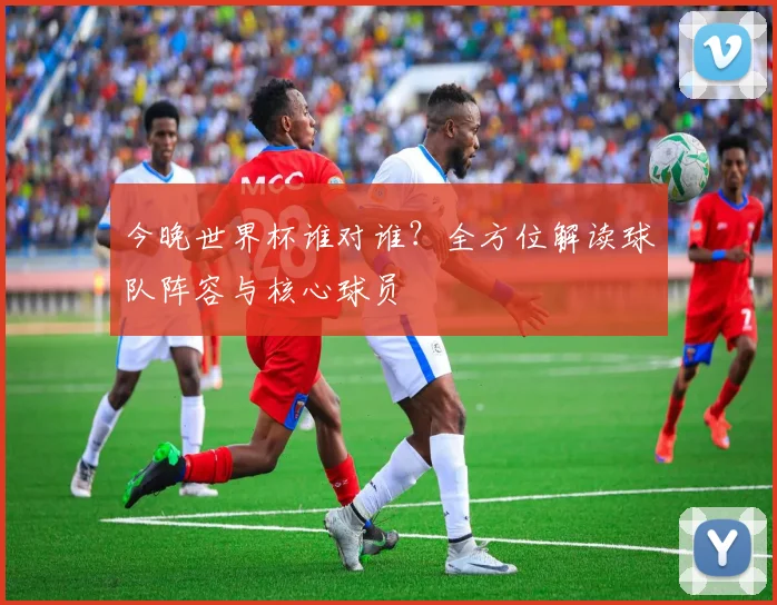 今晚世界杯谁对谁？全方位解读球队阵容与核心球员