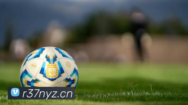 星空体育全站官网平台生态图