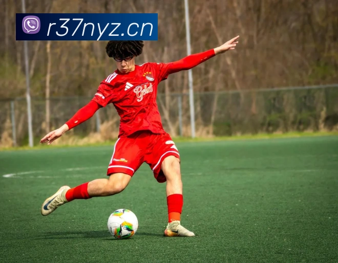 星空体育全站官网APP 封面图