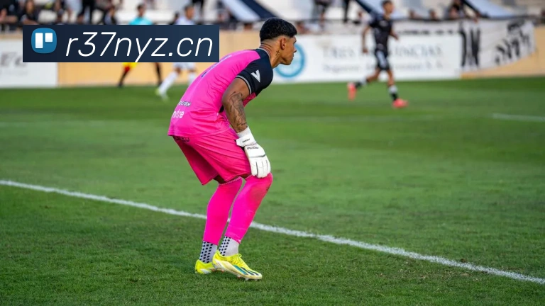 数据防护可视化